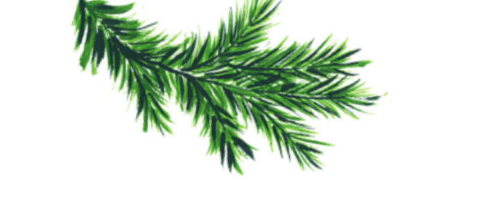 pine-leftside